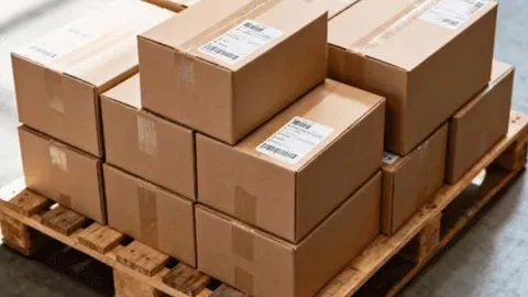Cost of shipping a pallet from China to Egypt
