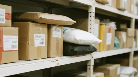 Express Shipping from China to USA Cost: Fast Delivery Options