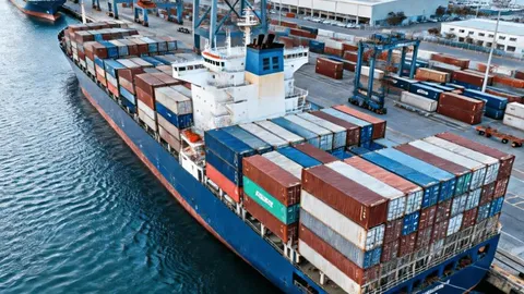 Freight Forwarder Shipping Rate from China to USA