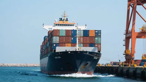 Sea Freight from China to Tanzania