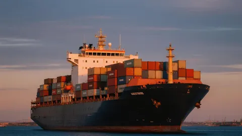 Shipping Cost from China to Algeria